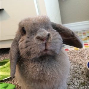 Meet your Posher, Colleen